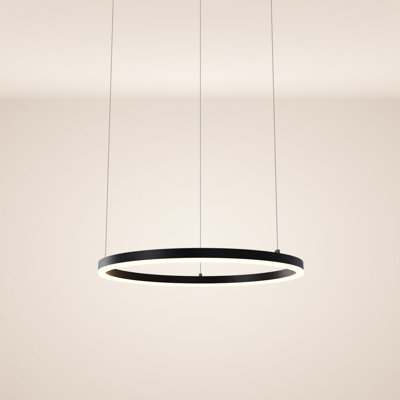 LED pendant light Ring 60 5m suspension 1