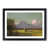Black Framed
