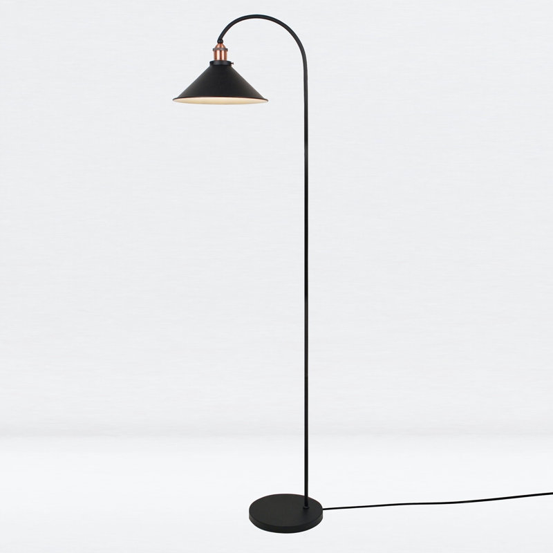 Grabowski 166cm LED Arched Floor Lamp, Black, Black