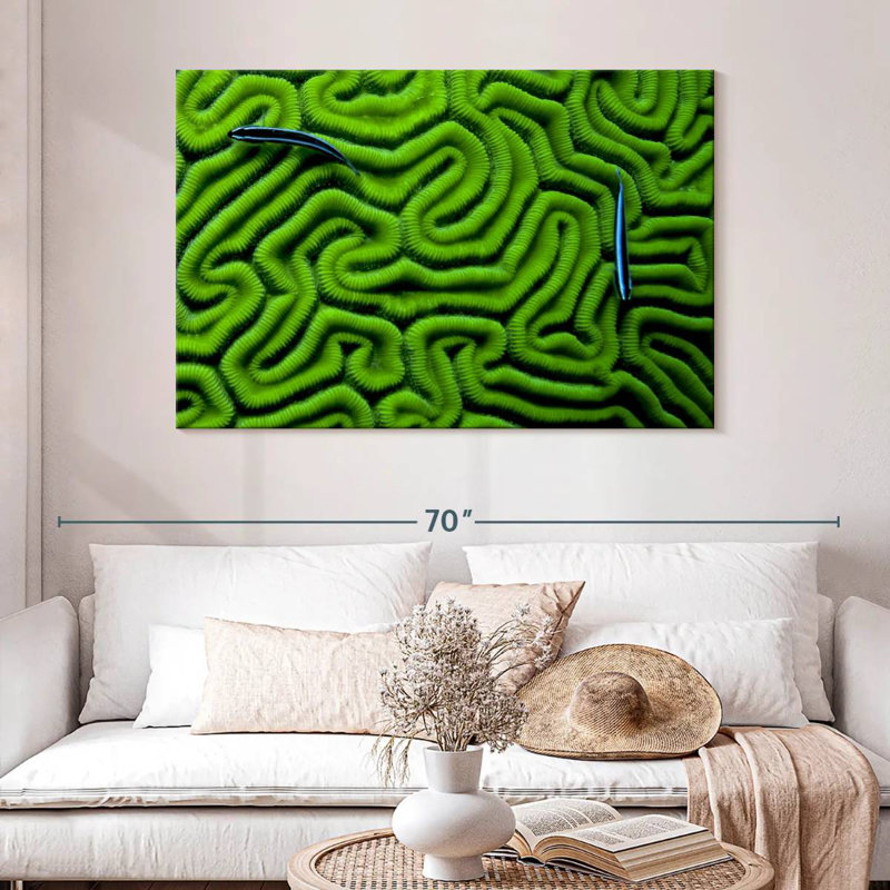 Corail vert Brampt, H 32 po x l 48 po
