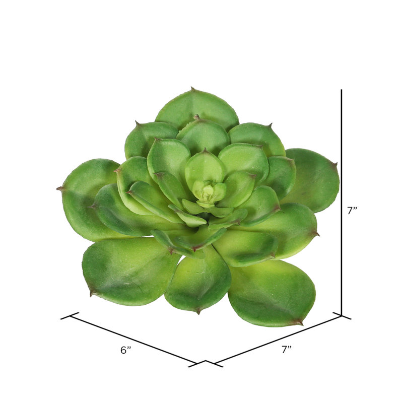 Tige de cactus simple