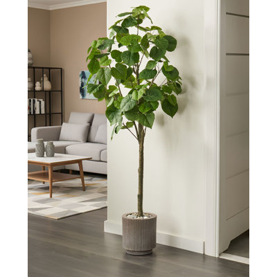 160cm Faux Ficus Tree in Pot
