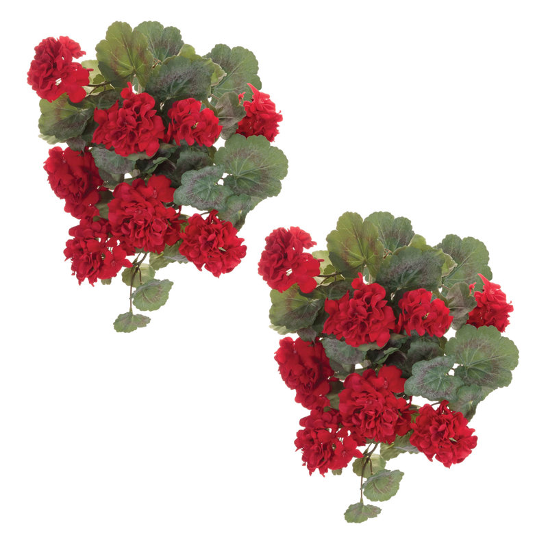 Hanging Geranium Floral Bush