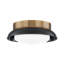 2 - Light Flush Mount