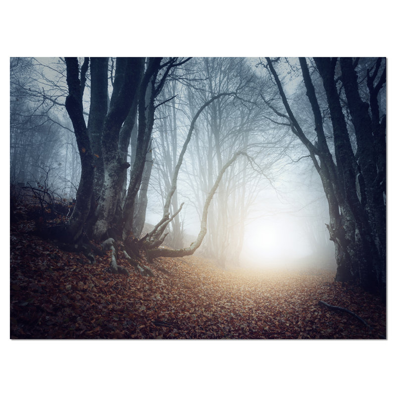Mystical Forest Landscape Canvas Print in White and Brown