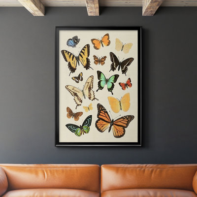 " Collected Flutter I "