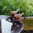 Antique Birds Birdbath with Over Railing Bracket