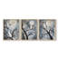 Aviary Study  Series  VII  -Set Of 3 Framed Giclee Prints -Ready to Hang-107257734-107257736