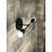 Capehart Armed Sconce-246084731-246084728