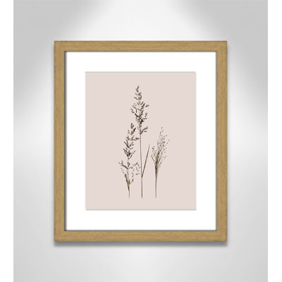 Delicate Stems I by Carol Robinson - Single Picture Frame Print -  Birch Lane™, AD9EC9DB3EBE4E0AA6CDE196345F538F