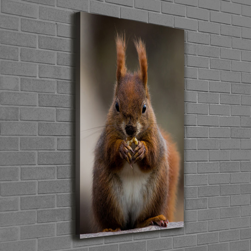 Squirrel - Wrapped Canvas Print