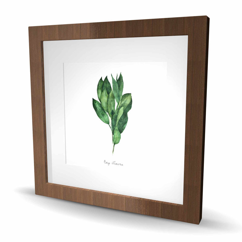 Ensemble de feuilles de laurier - décor de cuisine encadré mat