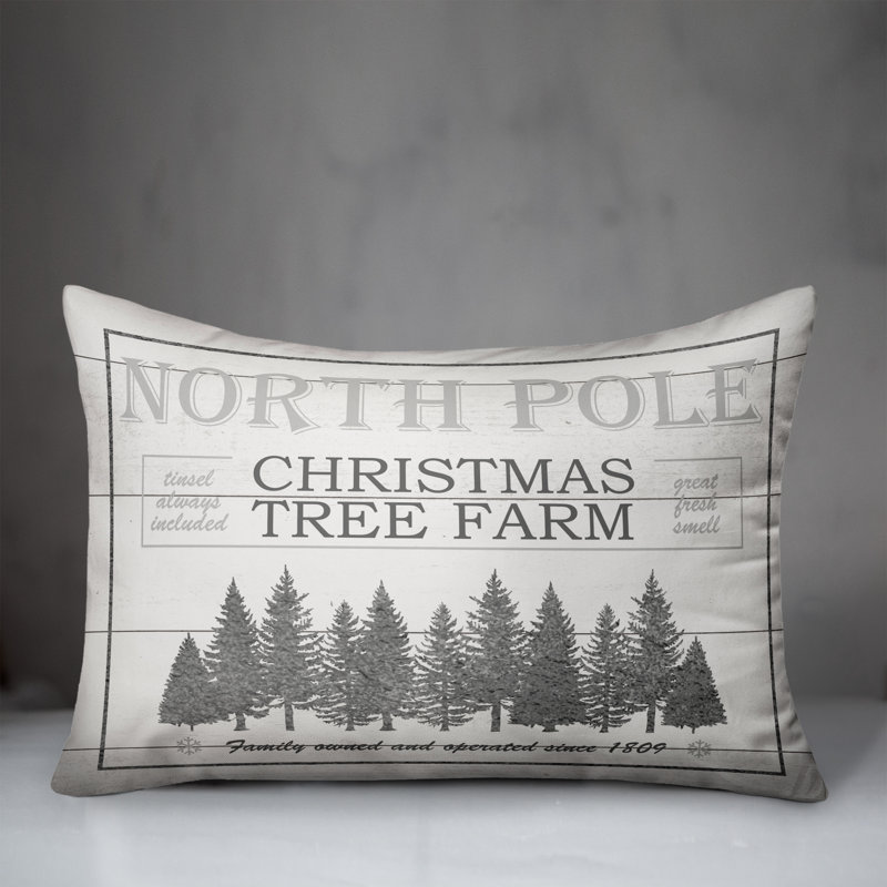  Rectangular Pillow Cover & Insert