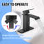 Wilmall Single Handle Bathroom Faucet with Drain