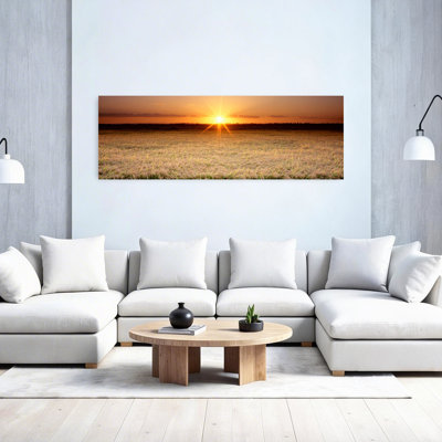 Rizière, vallée de Sacramento, Californie, États-Unis, paysage contemporain abstrait au coucher du soleil