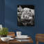 Pete Seaward - Print