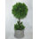 16.5'' Faux Boxwood Topiary in Ceramic Pot