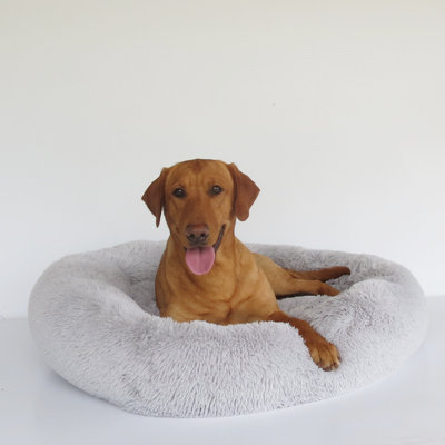 Palace Deluxe Calming Bed Large
