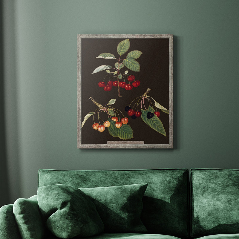 Toile encadrée de qualité supérieure Brookshaw Cherries, Argent patiné, H 24 po x l 20 po