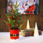 Arbre de table 22 po