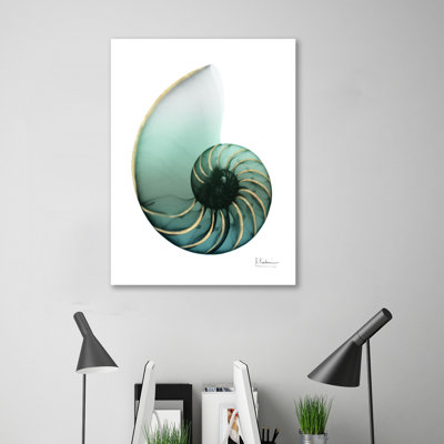 Shimmering Snail 4 - Wrapped Canvas Print