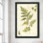 Ivies and Ferns I No Dragonfly - Peinture-806244125-806244134