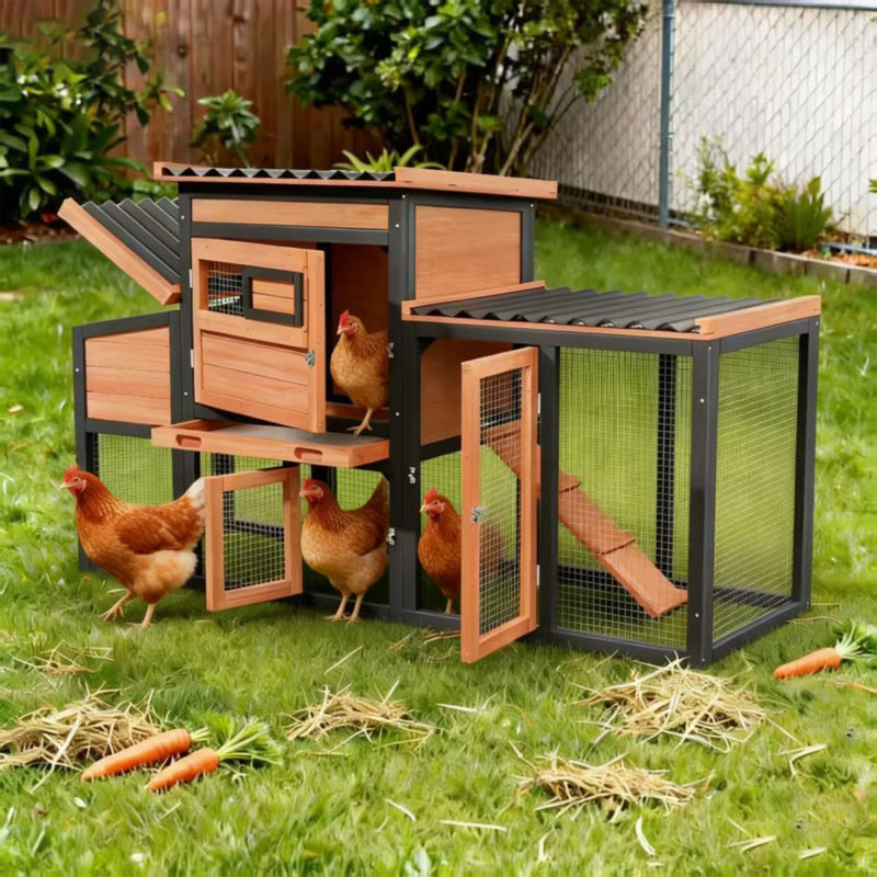 Poulailler en bois résistant aux intempéries avec toit ouvrant et fenêtre coulissante pour 4 poules adultes