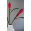 Tropical Ginger Faux Floral