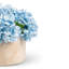 Aurelia RealTouch Hydrangea Arrangement-112890574
