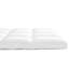 Benita 2" All Seasons Hypoallergenic Down Alternative Mattress Topper-1393942644