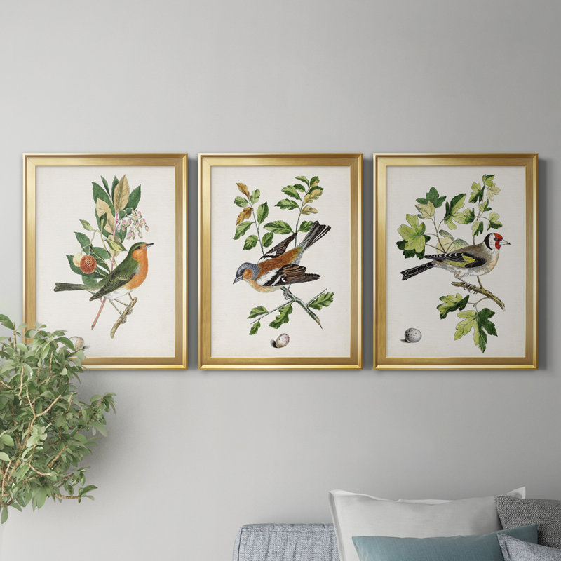 Oiseau antique, botanique et œuf I - ensemble de 3 peintures sur toile encadrées, H 22,5 po x l 91,5 po x P 1,5 po, Doré