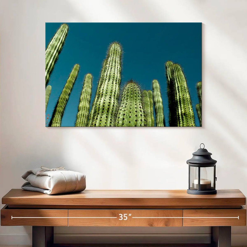 Cactus bleu ciel Harnek, H 16 po x l 24 po