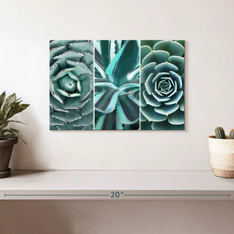 Harnek Different Succulents, 8" H x 12" W