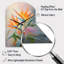 Birds Of Paradise Romantic IV - Birds Of Paradise-104240542