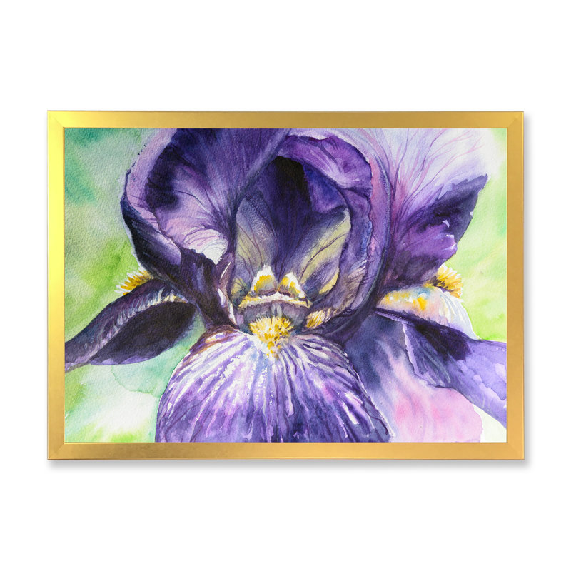 Aquarelle Iris fleur mauve - reproduction d'art sur toile, H 30 po x l 40 po x P 1,5 po, Cadre doré