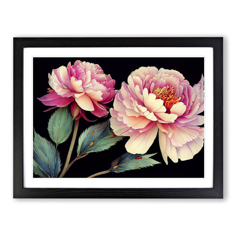 Watercolour Peony Flowers Vol.1 - Single Picture Frame Painting, 46cm H x 64cm W x 2cm D, Black