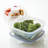Food Storage Container