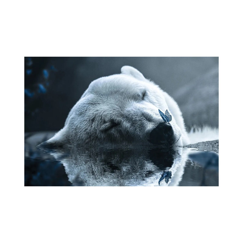 Polar Bear by Milos Karanovic - Wrapped Canvas Print, 20.32 cm H x 30.48 cm W