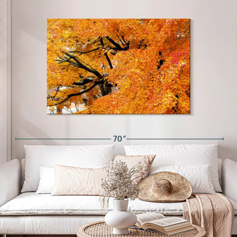 Harnek Maple Trees In Autumn, 32" H x 48" W