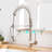 Fapully Pull Down Kitchen Faucet