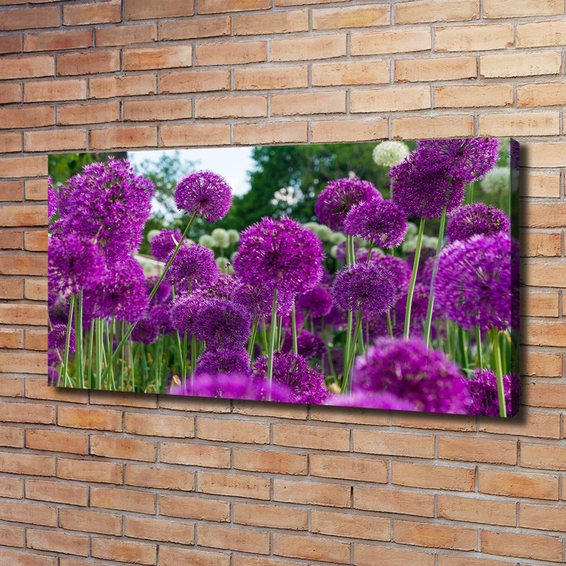 Garlic Flowers - Wrapped Canvas Print