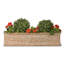 Cremont Handmade Pot Planter-14486264