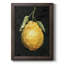 " Dark Lemon II "-1606132439