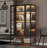 67.25'' Tall Iron Display Cabinet With Glass Door And LED Lights Steel Curio Cabinet For Collectibles Figures Trophies 3-Sided Glass Display Case For Home Office Study Room Stores Playroom - Black-124664357