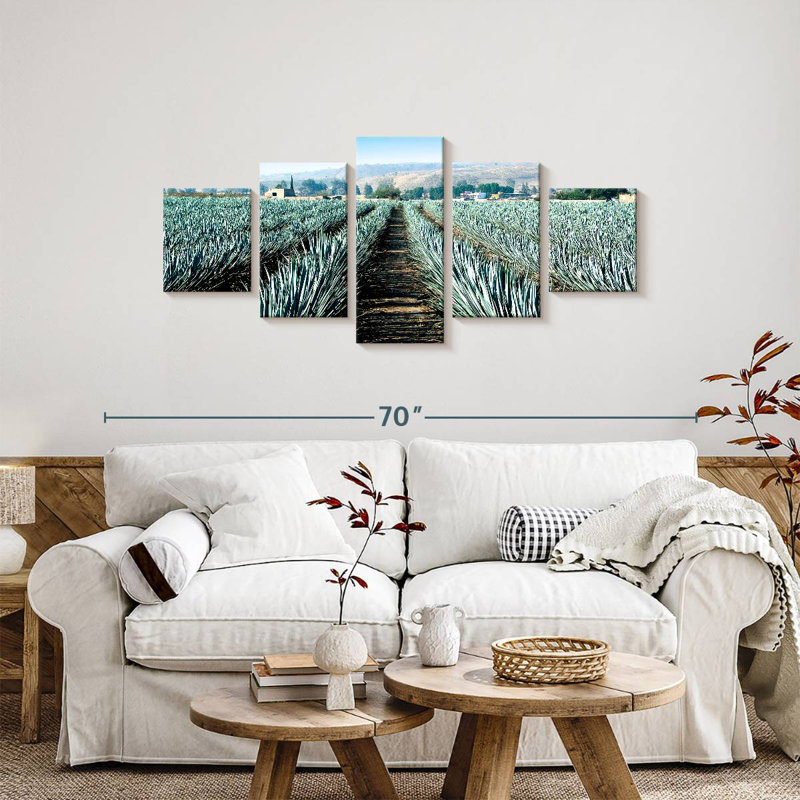 Agave Alvord Farm, H 24 po x l 55 po