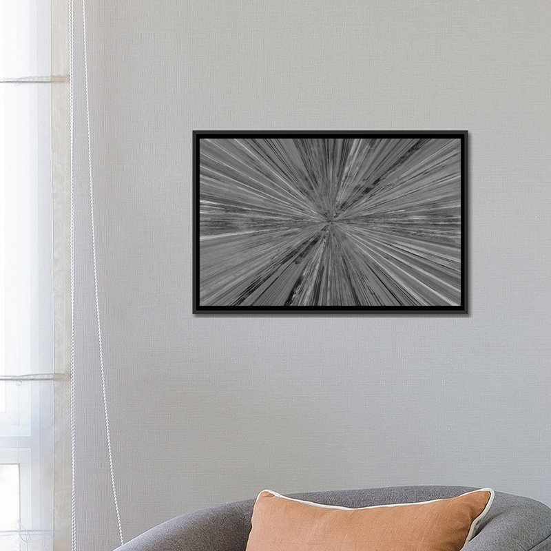 Lumière chatoyante I, H 18 po x l 26 po, Toile à cadre flottant noir, Noir / blanc inversé