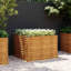  Lit surélevé de jardin en acier Corten 39,4 po x 39,4 po x 27,2 po