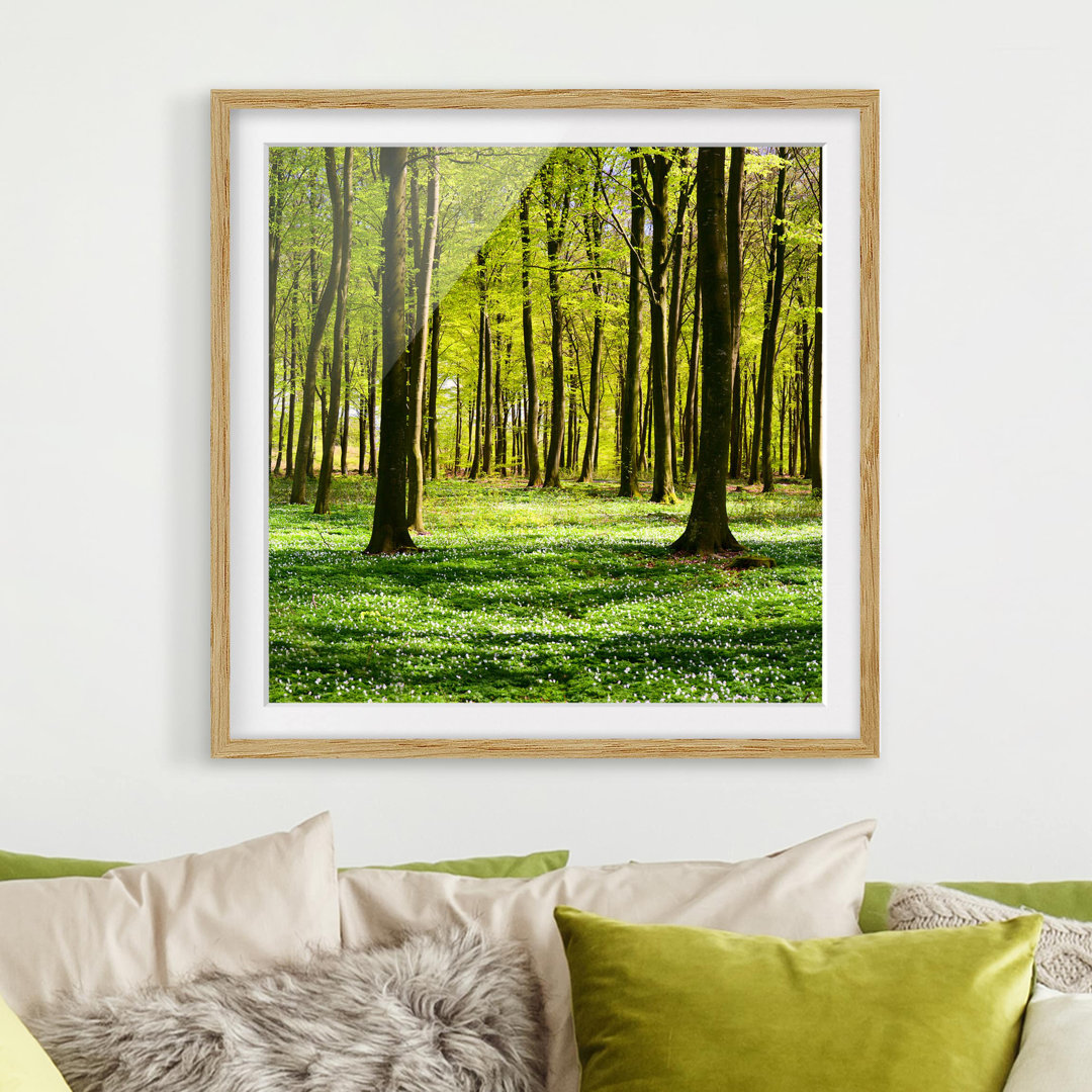 Gerahmter Fotodruck Forest Meadow