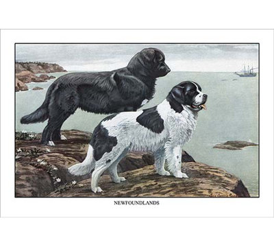 Reproduction d’art sur deux terre-de-terre de louis agassil fuertes
