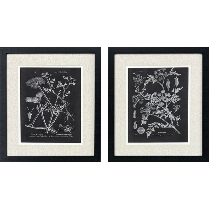 Mono Botanicals I S/2 Print by Libby Langdon Paragon